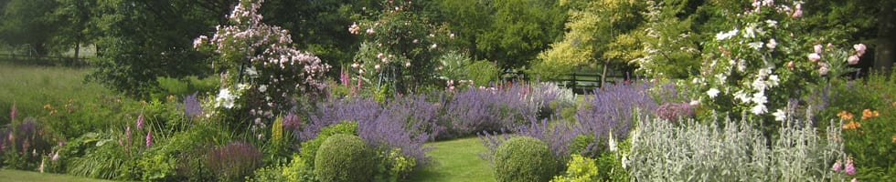 garden-design-company-slideshow-4