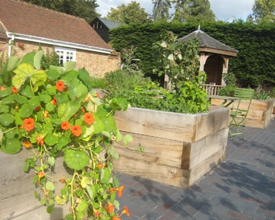 Garden-design-company_vegetable area (3)