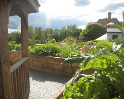 garden-design-company_vegetable area