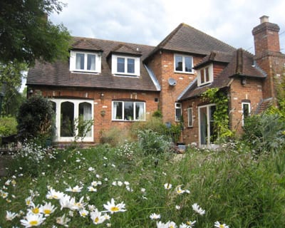 garden-design-company_wildlife garden (1)