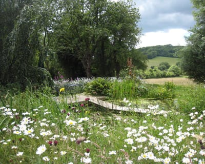 garden-design-company_wildlife garden (2)