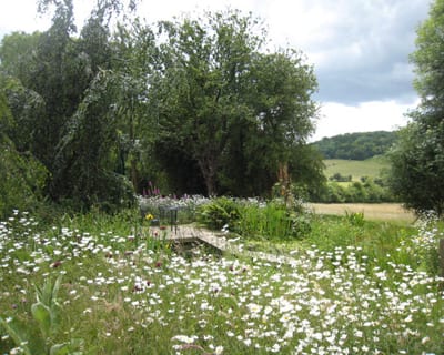 garden-design-company_wildlife garden (6)