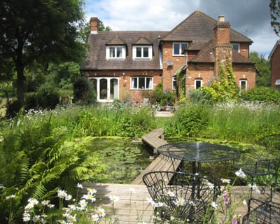 garden-design-company_wildlife garden (7)