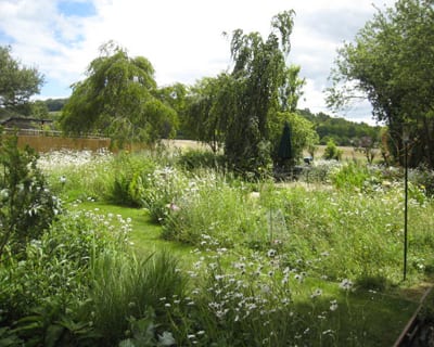 garden-design-company_wildlife garden (8)