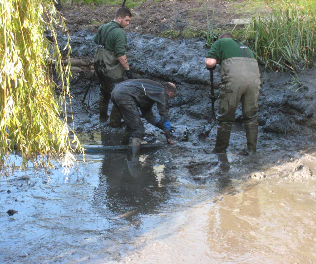 Water Restoration Project