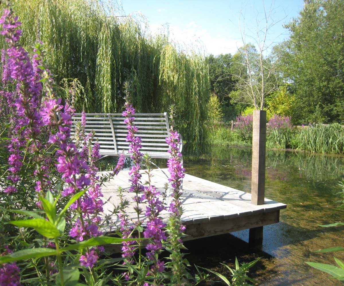 Water Restoration Project