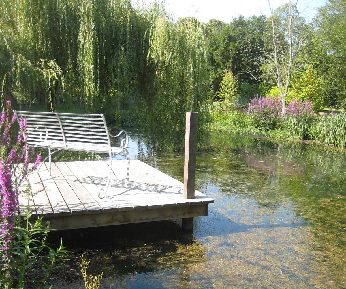 Water Restoration Project