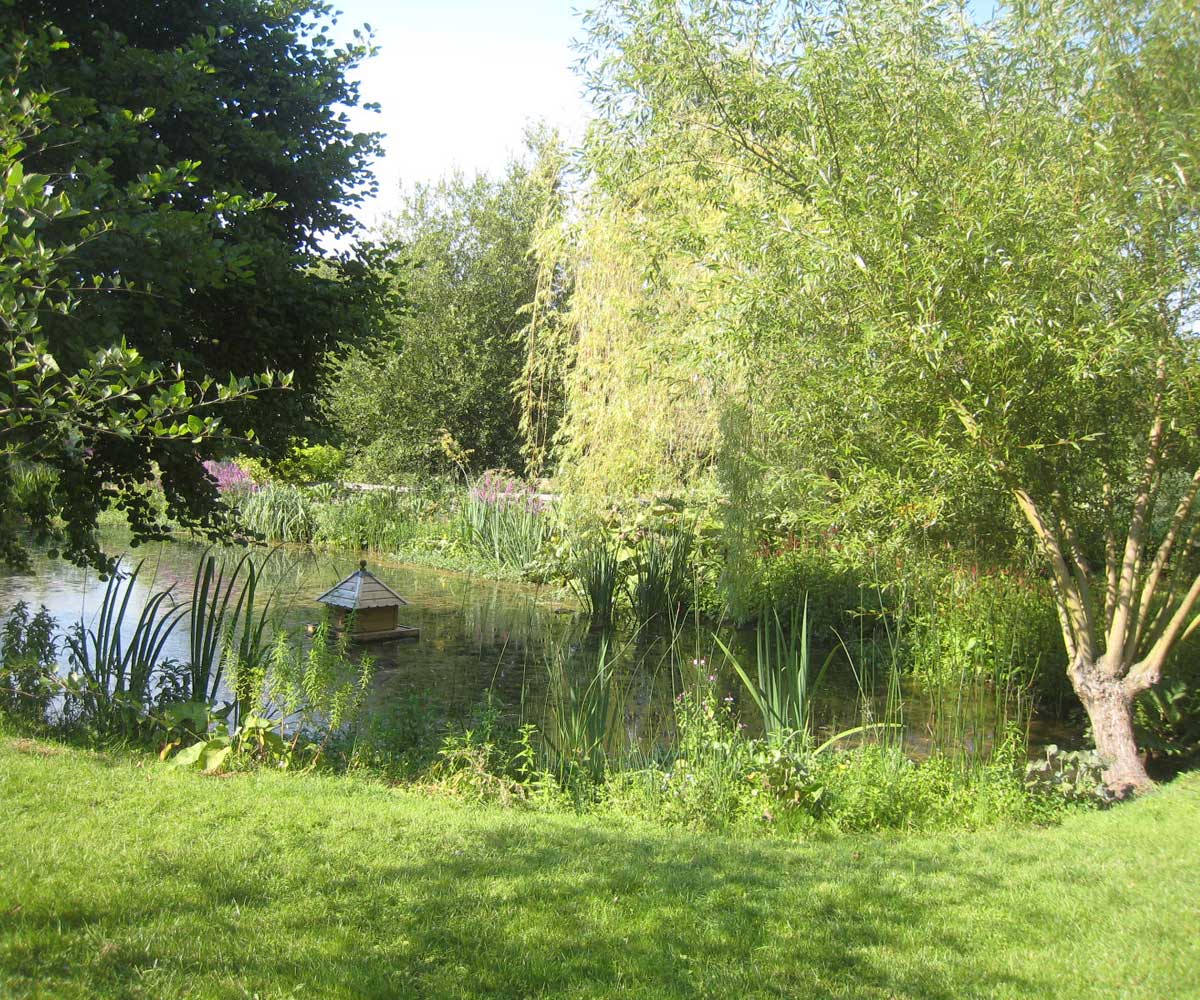 Water Restoration Project