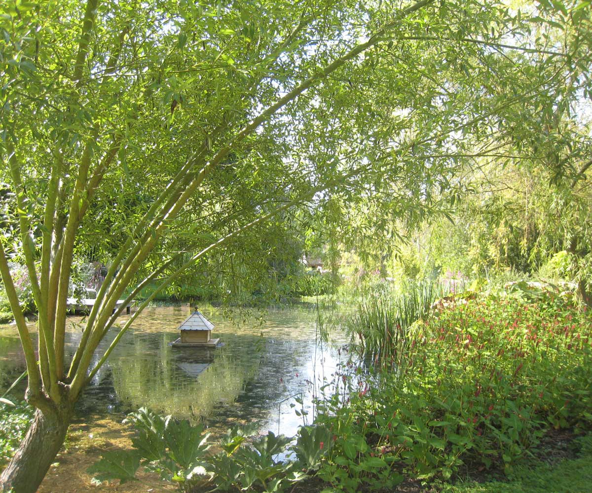 Water Restoration Project