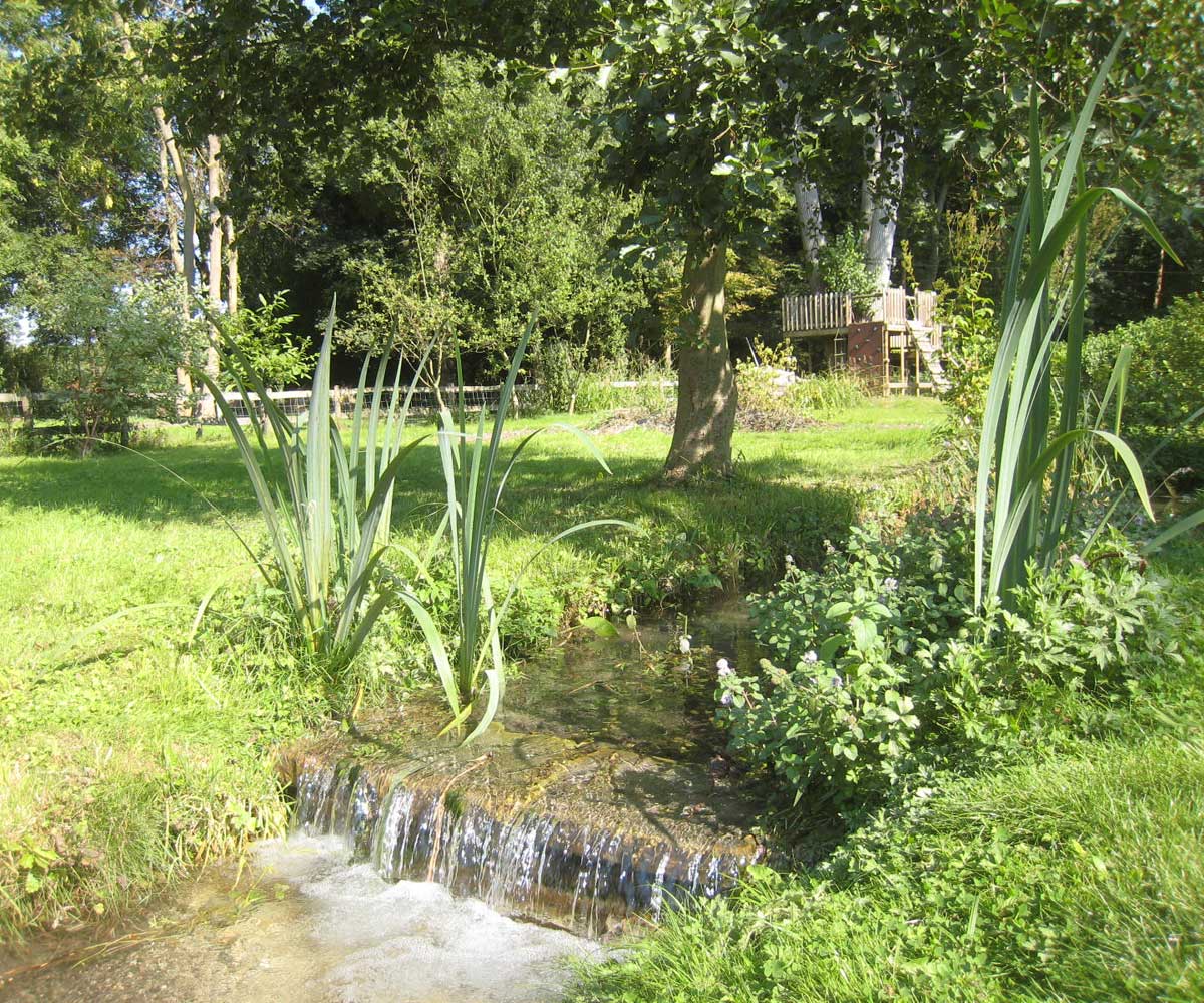 Water Restoration Project