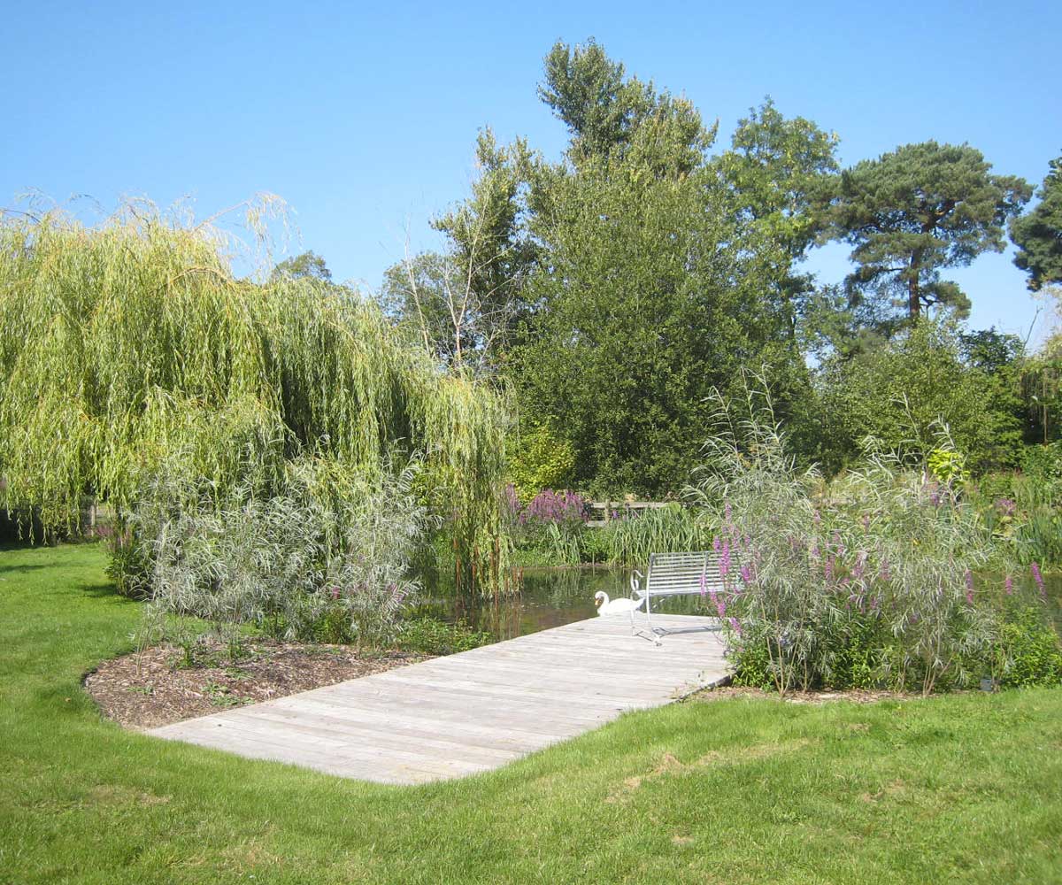Water Restoration Project