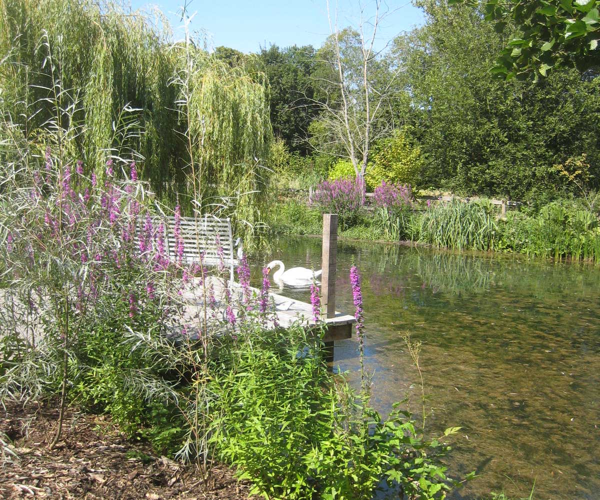 Water Restoration Project