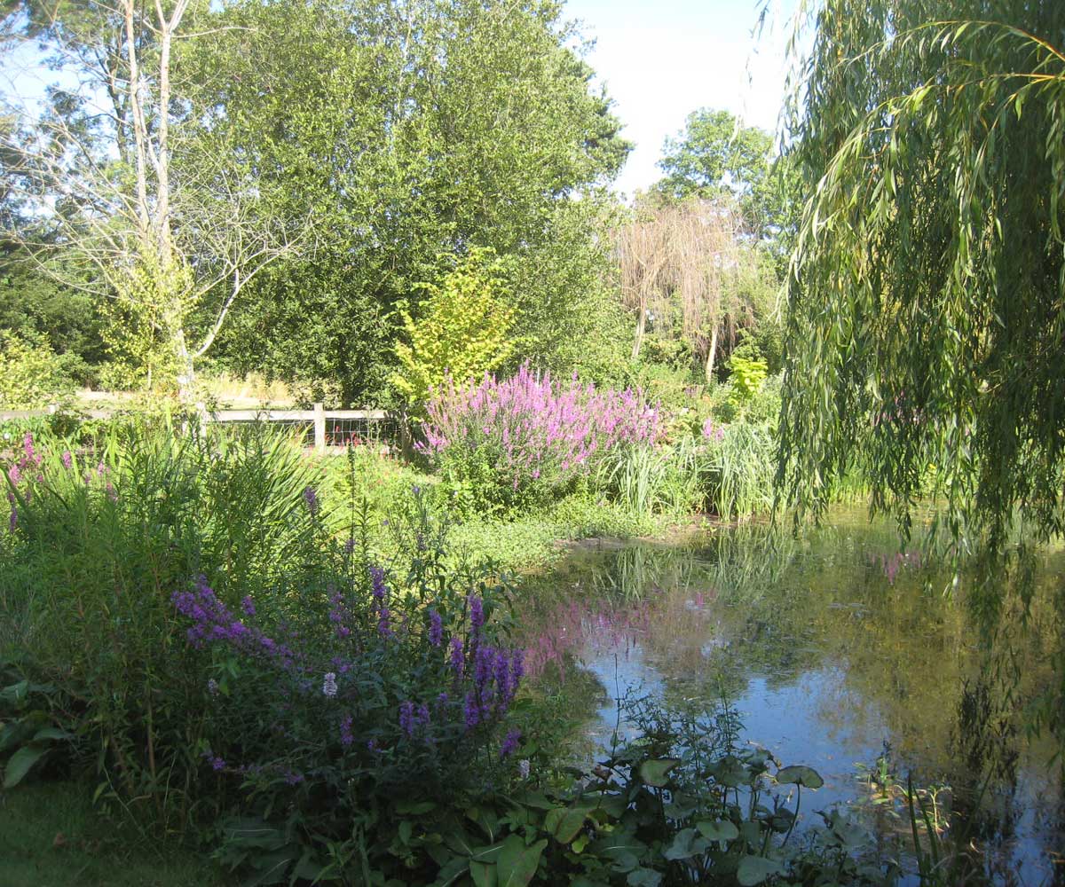 Water Restoration Project