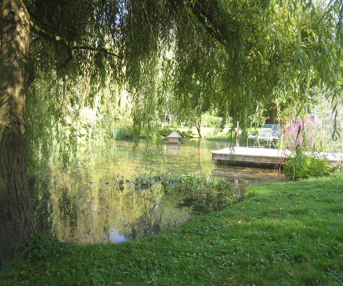 Water Restoration Project
