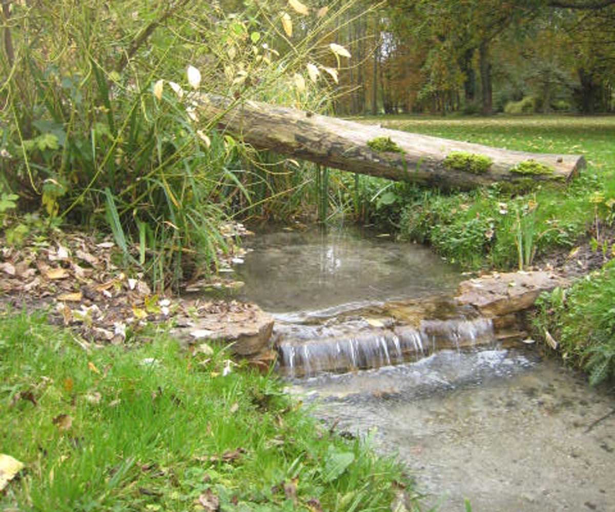 Water Restoration Project