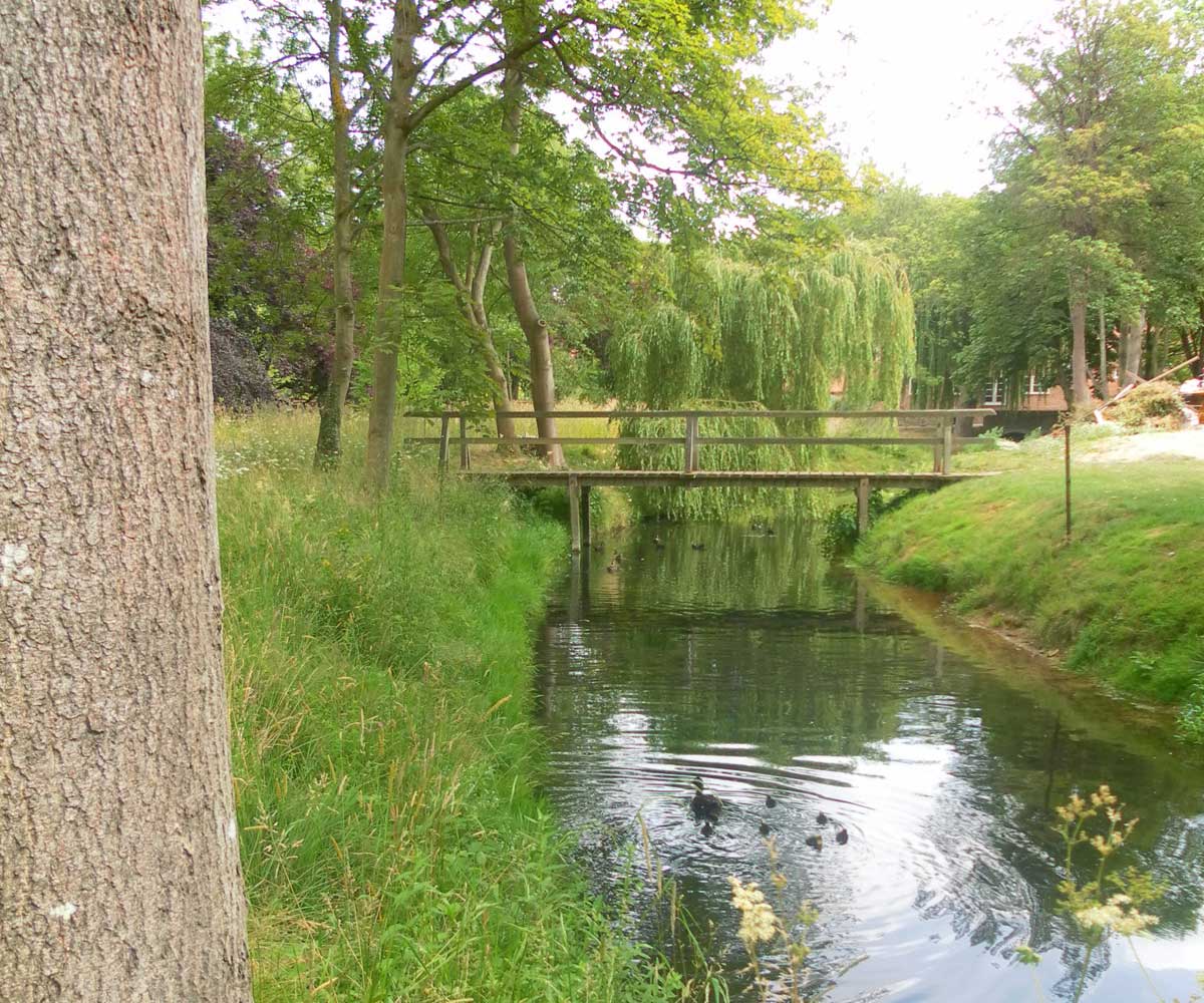 Water Meadow