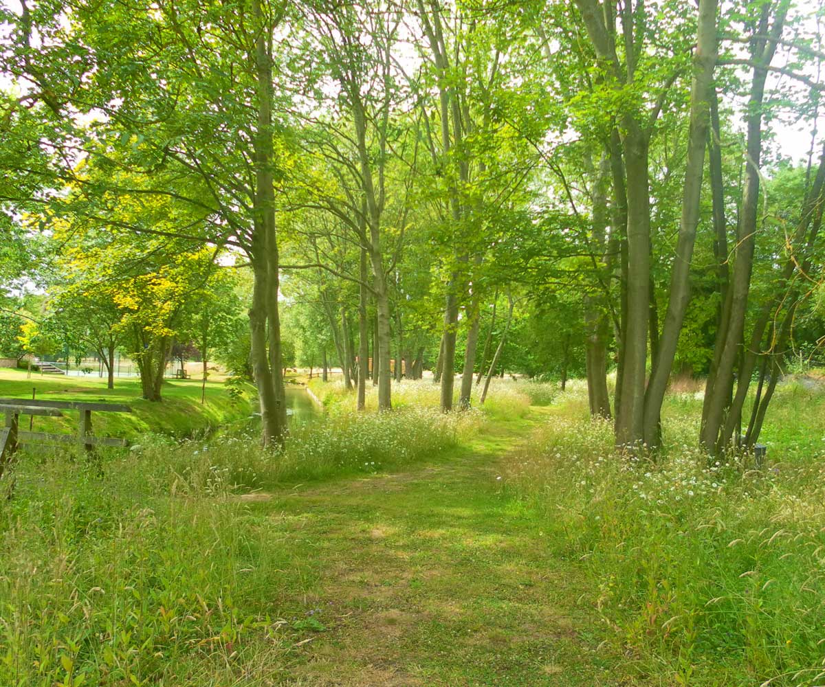 Water Meadow